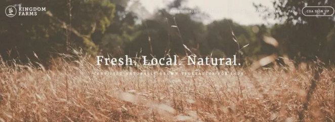 網(wǎng)站首頁界面設(shè)計(jì)的5個(gè)技巧-引入可點(diǎn)擊的元素